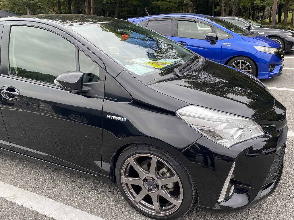 Vitz SFM2024 EMMA2024