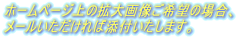 ホームページ上の拡大画像ご希望の場合、 メールいただければ添付いたします。